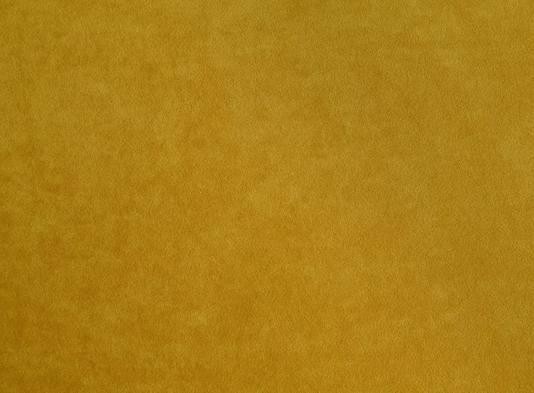 Nessi Apricot